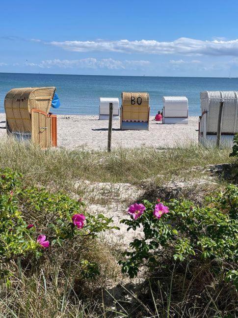 Fewo-Mit-Terasse-U-Garten-Am-Golfplatz Wulfen auf Fehmarn Luaran gambar